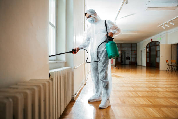 Emergency Pest Control in White Hall, WV